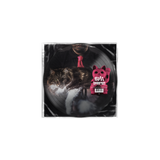 HOOMAN AFTER ALL - 12” Vinyl Picture Disc
