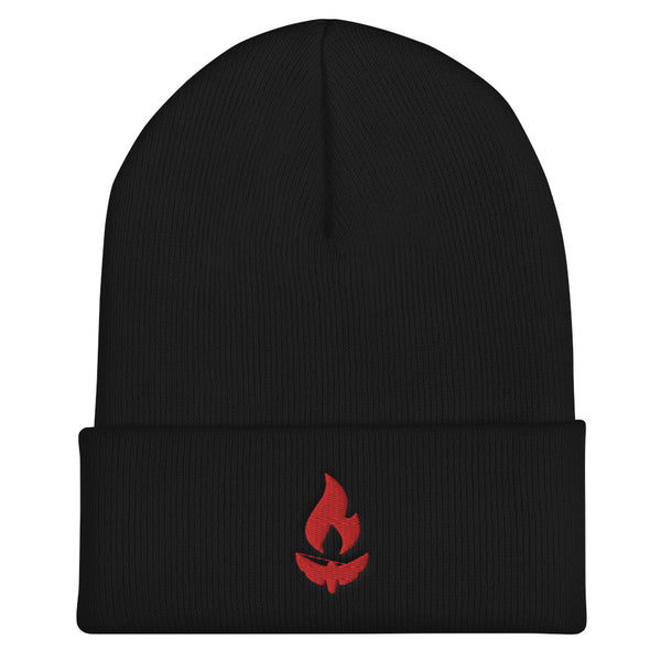 Like Moths To Flames - Anniversary Embroidered Beanie